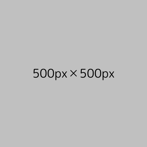 demo500-1.png